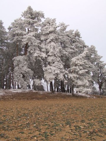 Jablonná v zimě 2007