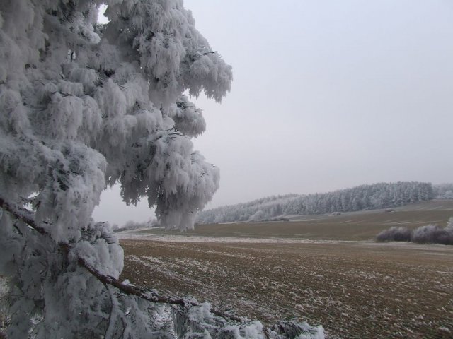 Jablonná v zimě 2007