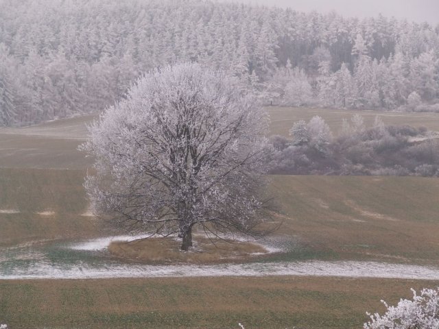 Jablonná v zimě 2007