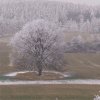 Jablonná v zimě 2007